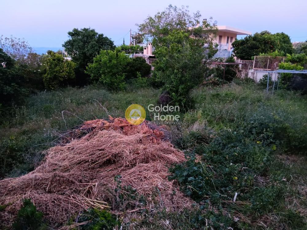 Αγροτεμάχια 1.023 τ.μ. προς ενοικίαση, Αττική - Υπόλοιπο, Κάλαμος