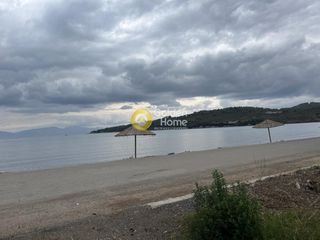 Οικόπεδο 5.500 τ.μ. για πώληση