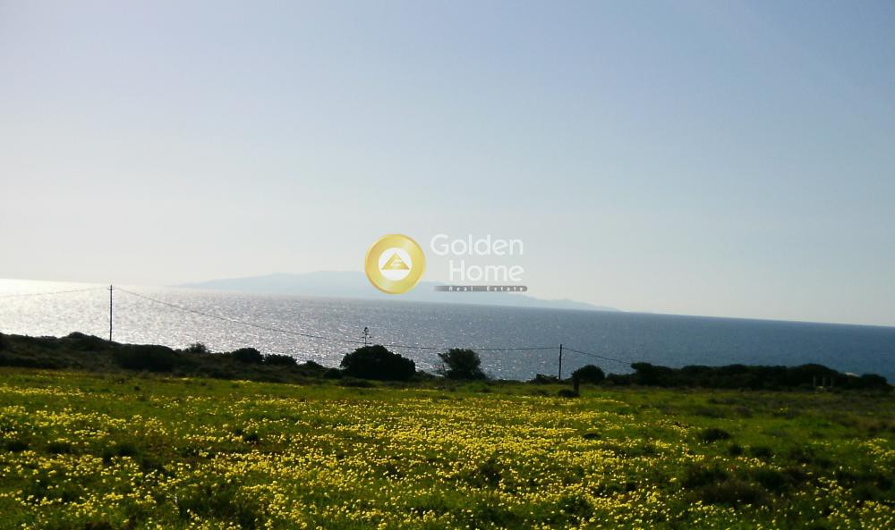 Αγροτεμάχια 13.100 τ.μ. προς πώληση, Γλύφα Πάρου