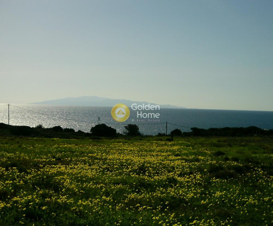 Αγροτεμάχια 13.100 τ.μ. προς πώληση, Γλύφα Πάρου