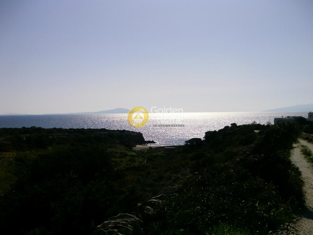 Αγροτεμάχια 13.100 τ.μ. προς πώληση, Γλύφα Πάρου
