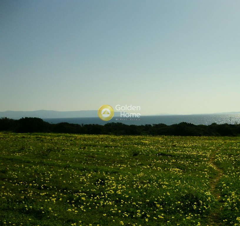 Αγροτεμάχια 13.100 τ.μ. προς πώληση, Γλύφα Πάρου