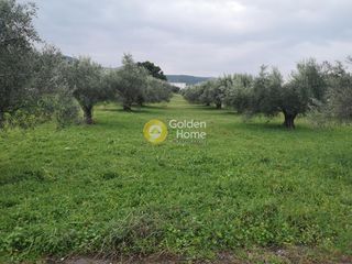 Οικόπεδο 10.152 τ.μ. για πώληση, Αργολίδα, Άργος-thumb-1