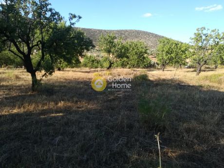Land plot 6.535 sqm for sale