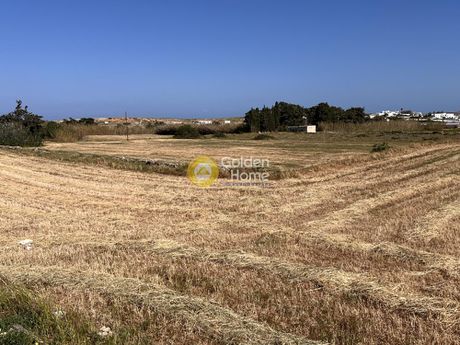 Αγροτεμάχια 16.000 τ.μ. για πώληση