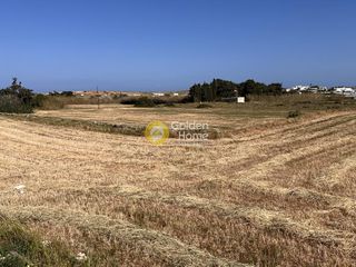Αγροτεμάχια 16.000 τ.μ. για πώληση