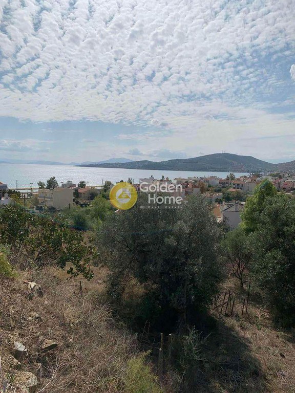 Οικόπεδο 368 τ.μ. πρός πώληση, Μαγνησία, Βόλος