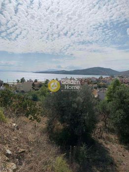 Land plot 368 sqm for sale
