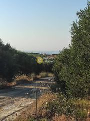Αγροτεμάχια 2.314 τ.μ. για πώληση