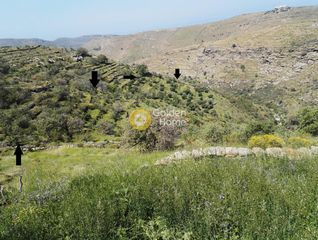 Αγροτεμάχια 16.200 τ.μ. για πώληση
