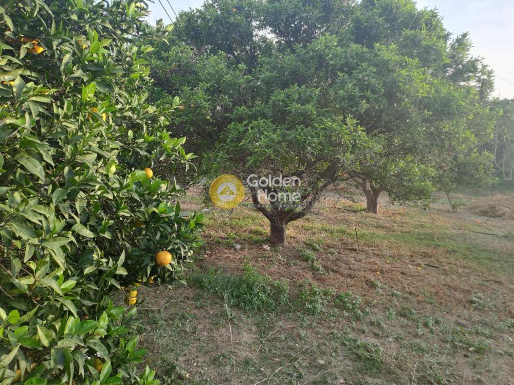Οικόπεδο 1.642 τ.μ. προς πώληση, Λουτράκι Κορινθίας