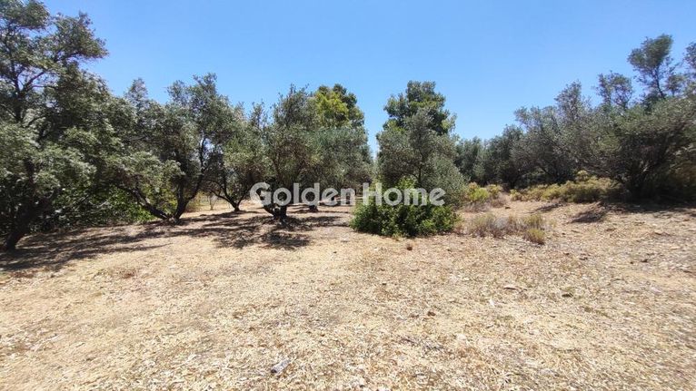 Parcel 1.800 sqm for sale, Athens - East, Spata