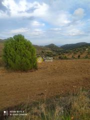 Αγροτεμάχια 3.160 τ.μ. για πώληση