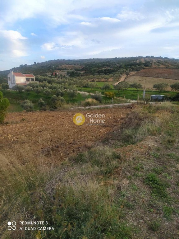Αγροτεμάχια 3.160 τ.μ. προς πώληση, Συκιές Αυλώνας