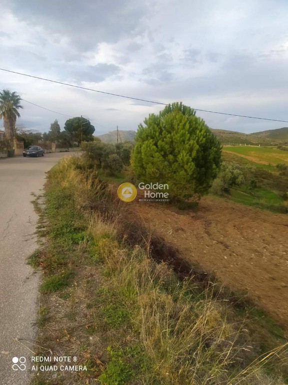 Αγροτεμάχια 3.160 τ.μ. προς πώληση, Συκιές Αυλώνας