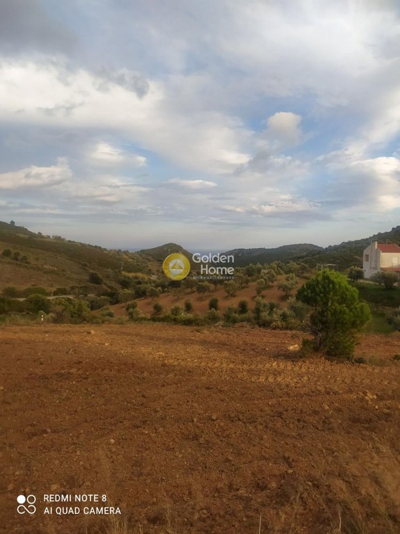 Αγροτεμάχια 3.160 τ.μ. προς πώληση, Συκιές Αυλώνας
