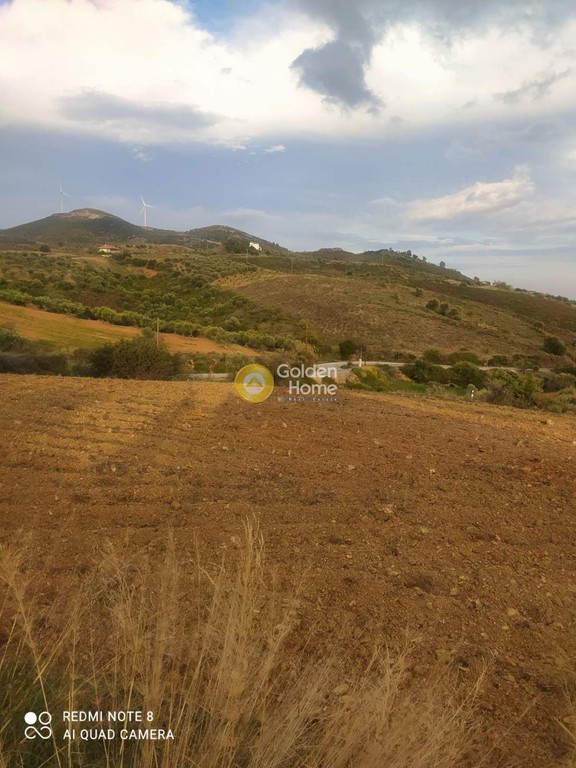 Αγροτεμάχια 3.160 τ.μ. προς πώληση, Συκιές Αυλώνας