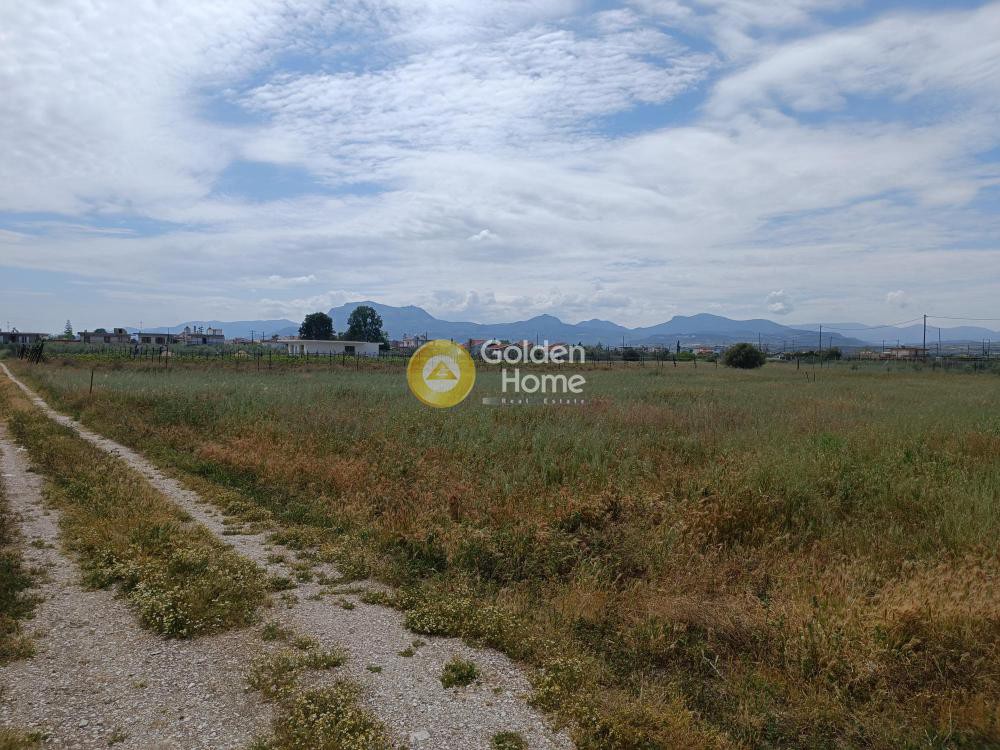 Οικόπεδο 1.773 τ.μ. προς πώληση, Άσσος Κορινθίας