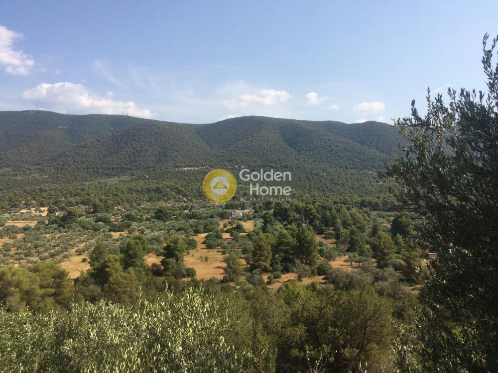 Οικόπεδο 192.000 τ.μ. προς πώληση, Κατάκαλη Σαρωνικού