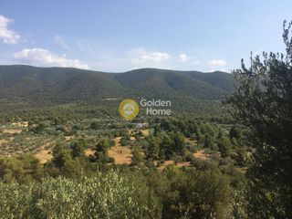 Οικόπεδο 192.000 τ.μ. για πώληση, Κορινθία, Σαρωνικός-thumb-4