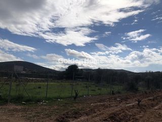 Οικόπεδο 7.500 τ.μ. πρός ενοικίαση, Αθήνα - Ανατολικά Προάστια, Κορωπί-thumb-5