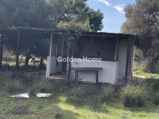Οικόπεδο 7.500 τ.μ. πρός ενοικίαση, Αθήνα - Ανατολικά Προάστια, Κορωπί-thumb-6