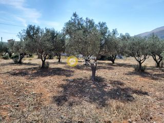 Οικόπεδο 4.250 τ.μ. για πώληση