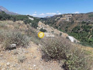 Αγροτεμάχια 7.000 τ.μ. για πώληση