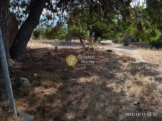 Αγροτεμάχια 7.500 τ.μ. για πώληση