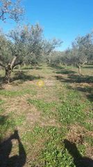 Αγροτεμάχια 7.490 τ.μ. για πώληση