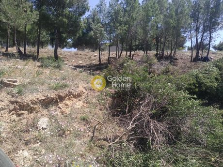 Οικόπεδο 502τ.μ. για πώληση-Πεντέλη » Νταού πεντέλη