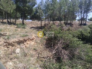 Οικόπεδο 502 τ.μ. για πώληση
