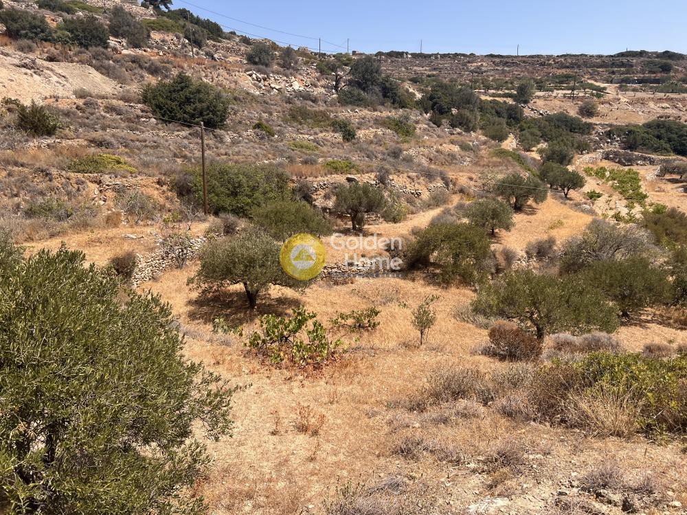 Αγροτεμάχια 4.238 τ.μ. προς πώληση, Κώστος