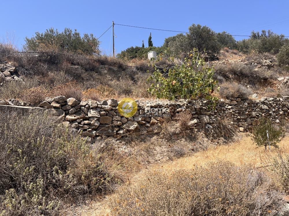 Αγροτεμάχια 4.238 τ.μ. προς πώληση, Κώστος