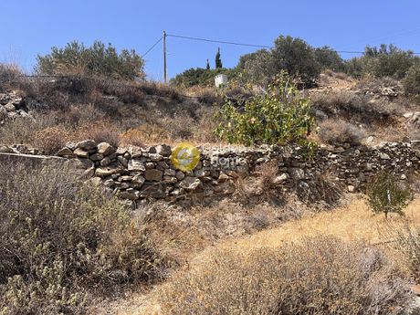 Αγροτεμάχια 4.238τ.μ. για πώληση-Πάρος » Κώστος