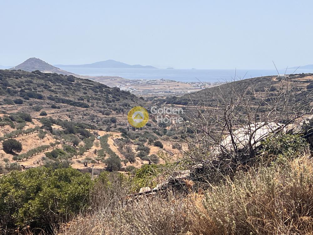 Αγροτεμάχια 4.238 τ.μ. προς πώληση, Κώστος