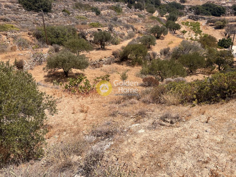 Αγροτεμάχια 4.238 τ.μ. προς πώληση, Κώστος