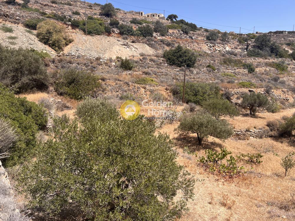 Αγροτεμάχια 4.238 τ.μ. προς πώληση, Κώστος