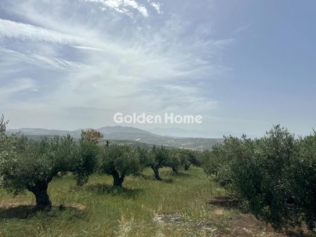 Οικόπεδο 2.400τ.μ. για πώληση-Γούβες » Κάτω βάθεια