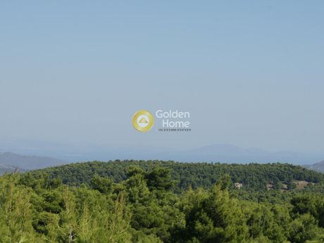 Land plot 2.072sqm for sale-Afidnes » Agia Triada