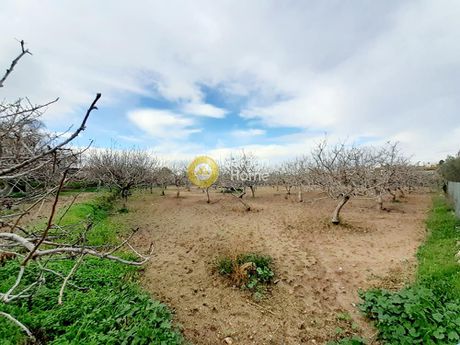 Land plot 2.540sqm for sale-Aegina » Kipseli