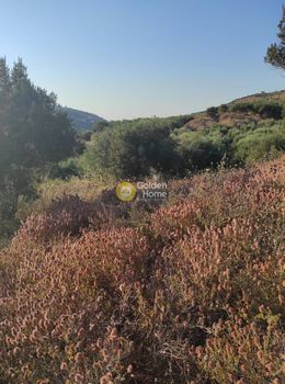 Parcel 5.089sqm for sale-Heraclion Cretes » Skalani