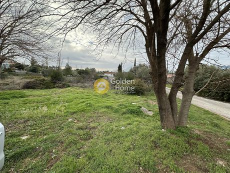 Αγροτεμάχια 300τ.μ. για πώληση-Γέρακας » Δέση