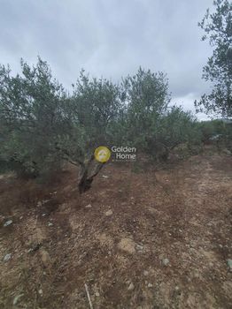 Οικόπεδο 1.060τ.μ. για πώληση-Αρχάνες » Επάνω αρχάνες