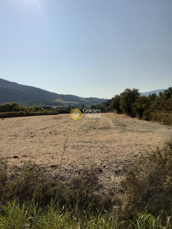 Αγροτεμάχια 11.500 τ.μ. πρός πώληση, Αιτωλοακαρνανία, Ανακτόριο