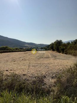 Αγροτεμάχια 11.500τ.μ. για πώληση-Ανακτόριο » Βόνιτσα