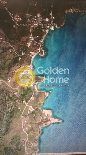 Αγροτεμάχια 6.100 τ.μ. προς πώληση, Λυγαρίδια