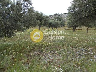 Αγροτεμάχια 6.140 τ.μ. για πώληση