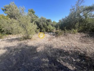 Αγροτεμάχια 1.000 τ.μ. για πώληση