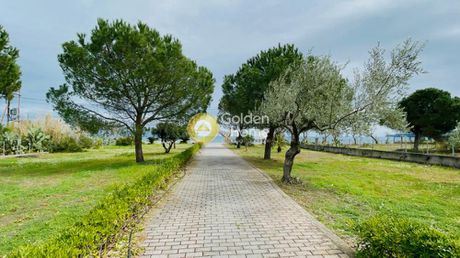 Building 300 sqm for sale